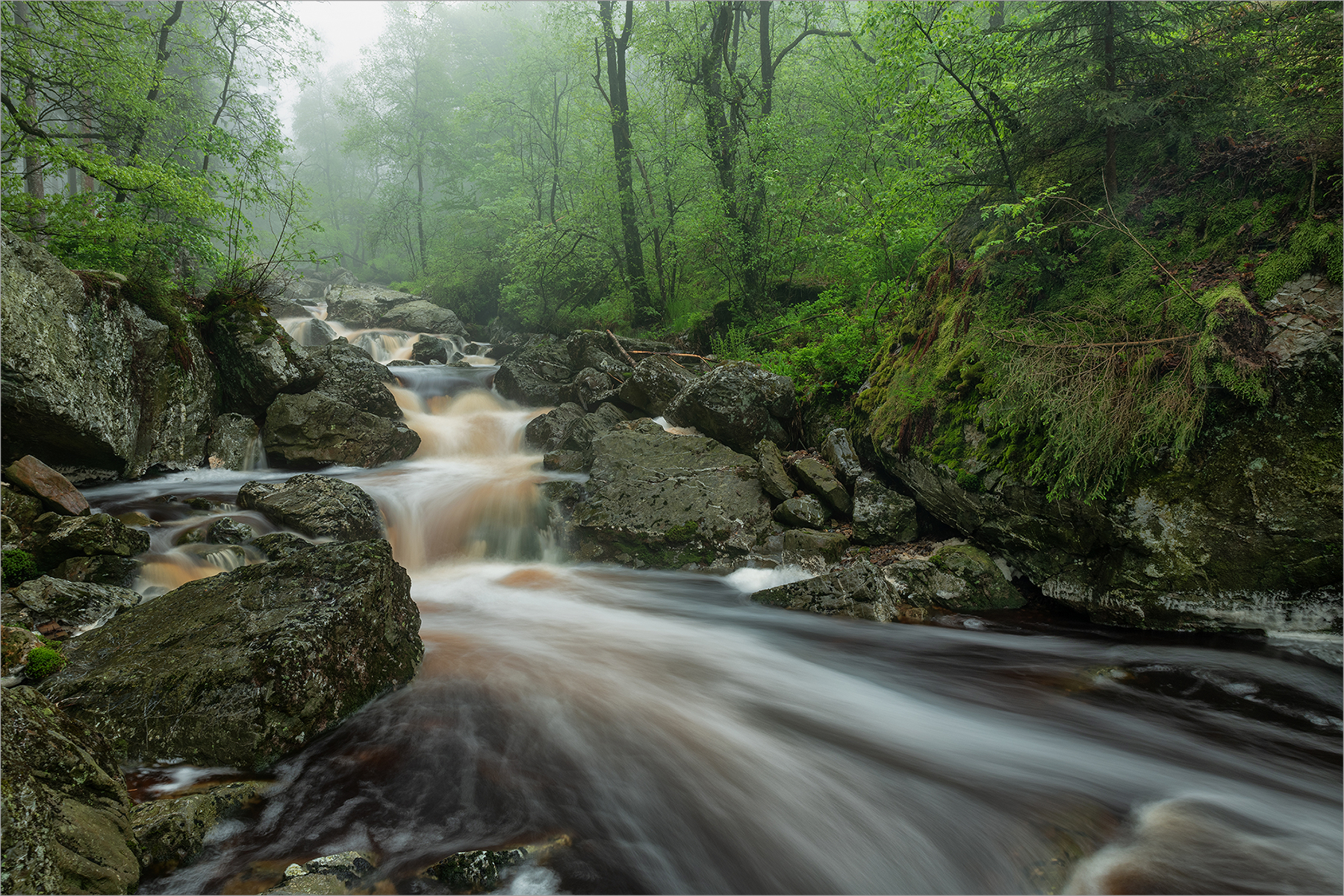 wo das Wasser leise spricht