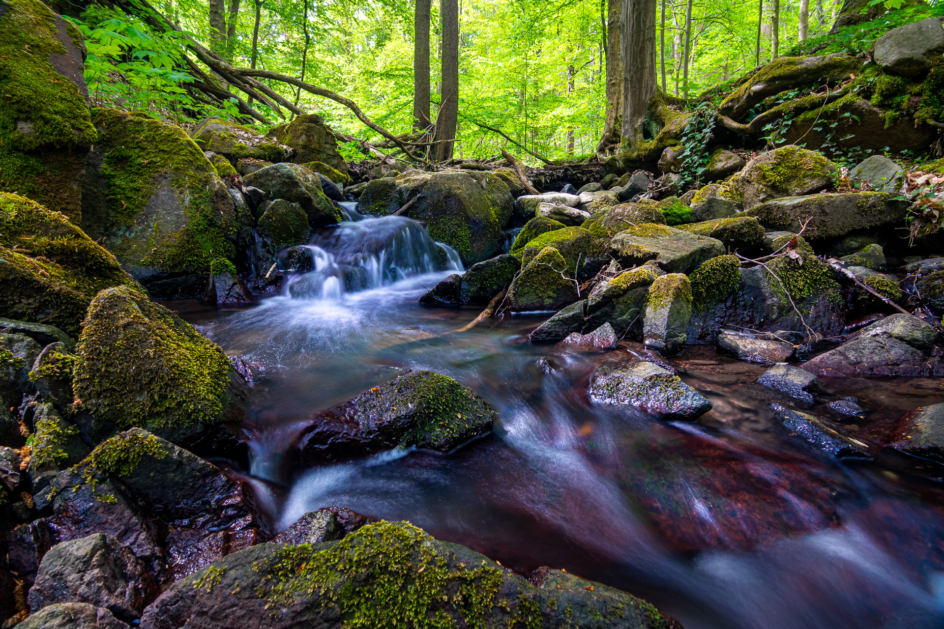 Am Bach...