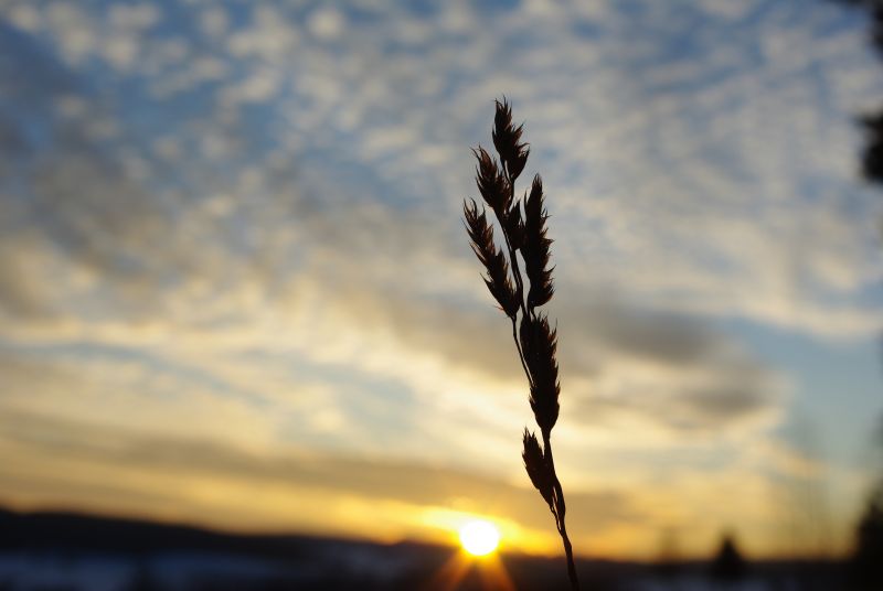 Winter-Sonnenuntergang