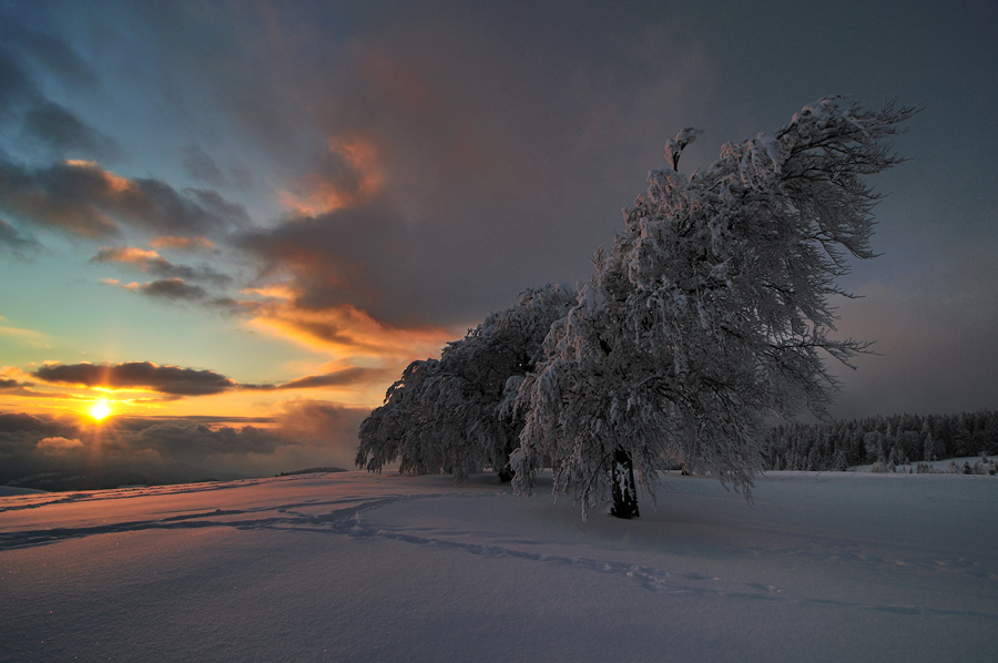 Winterabend