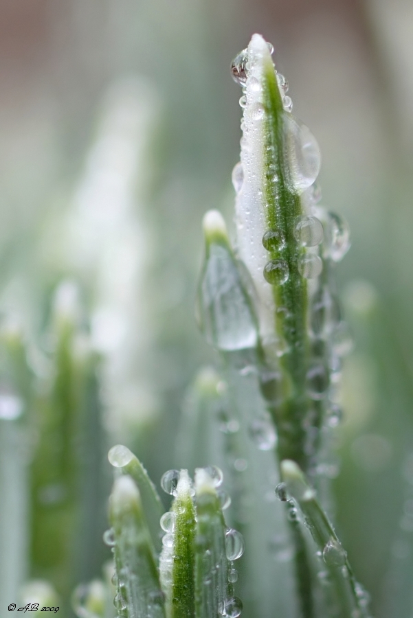 Nach dem Regen