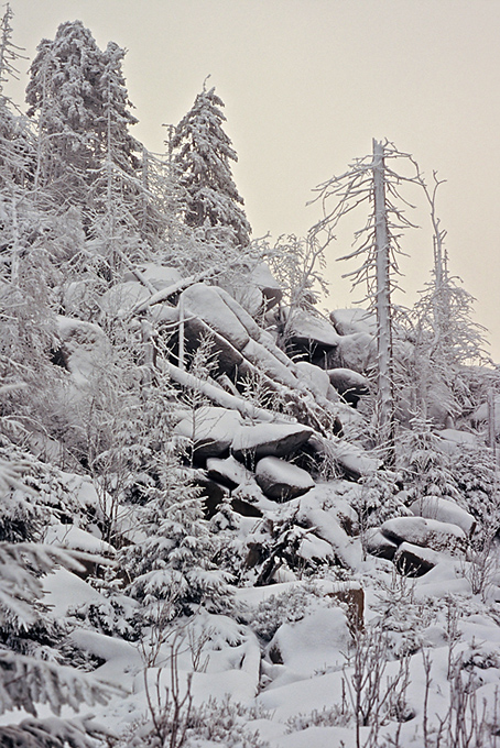 Bärenklippen (Harz)