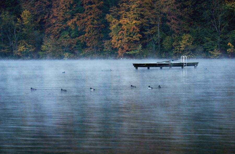 Früh morgens am See.........