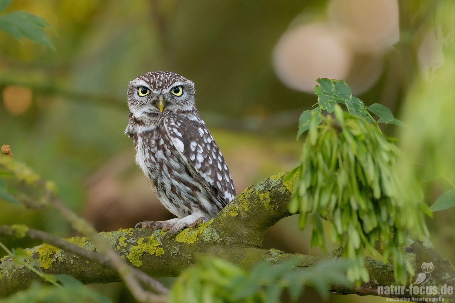 Der Blick
