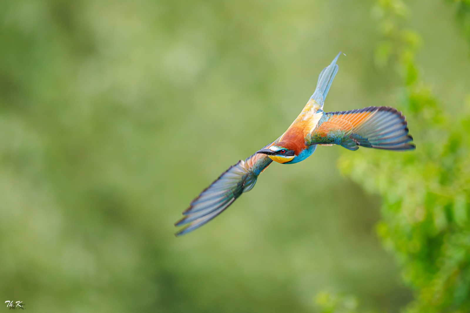 Flugakrobaten
