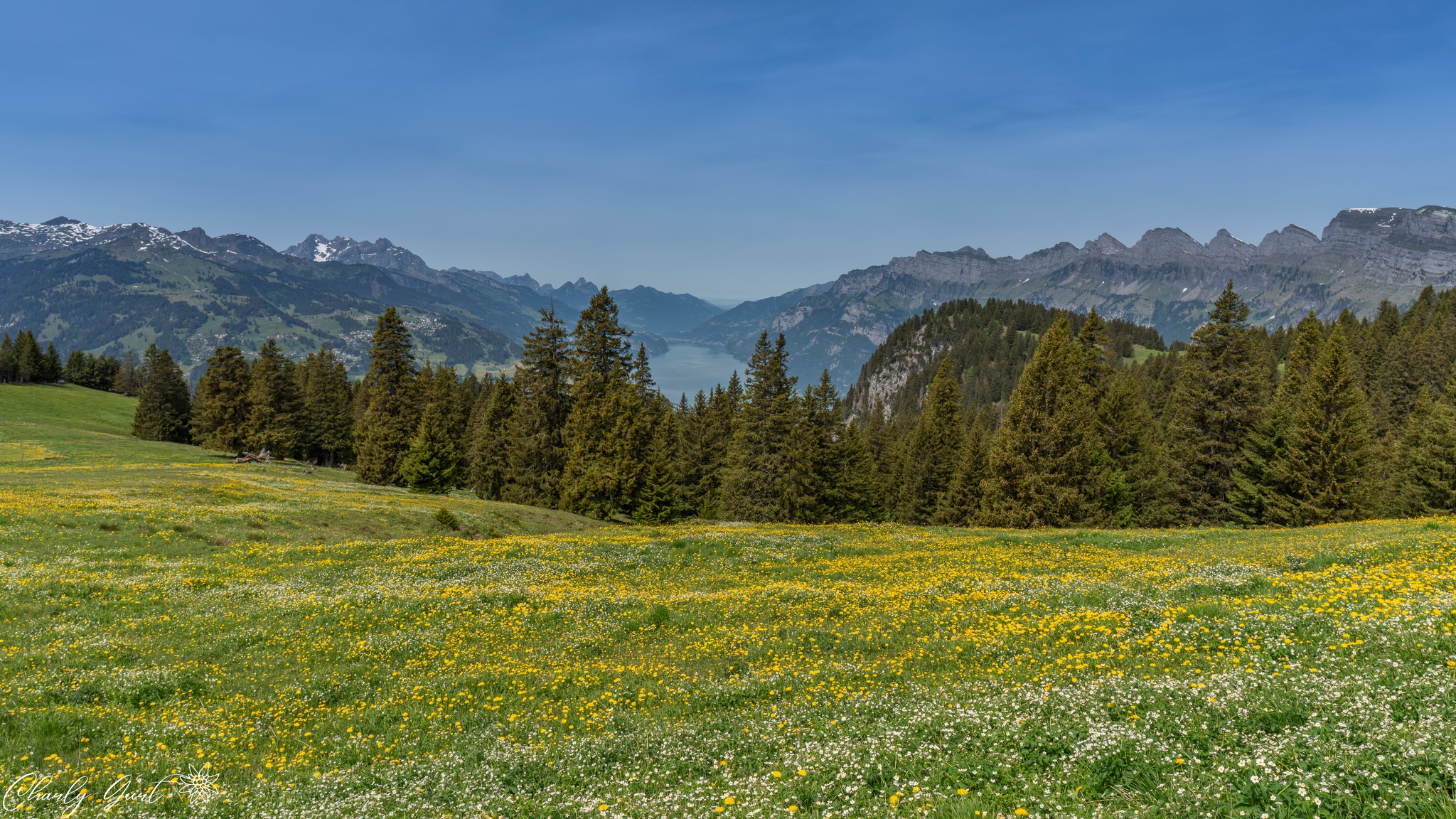 Blick zum Walensee