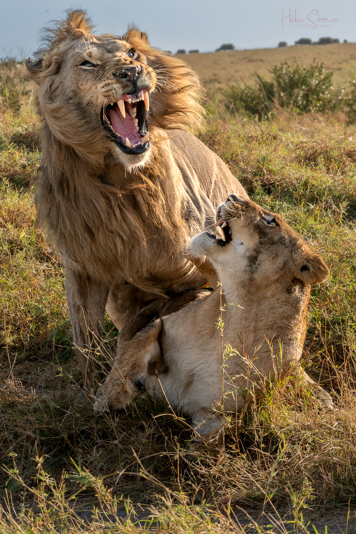 Uaaaaaaaah!!