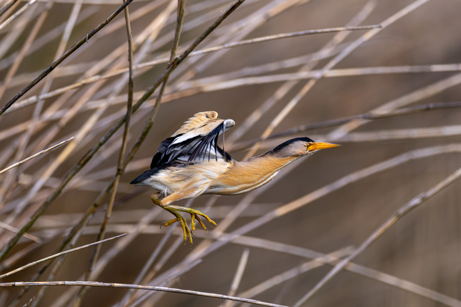 Abflug