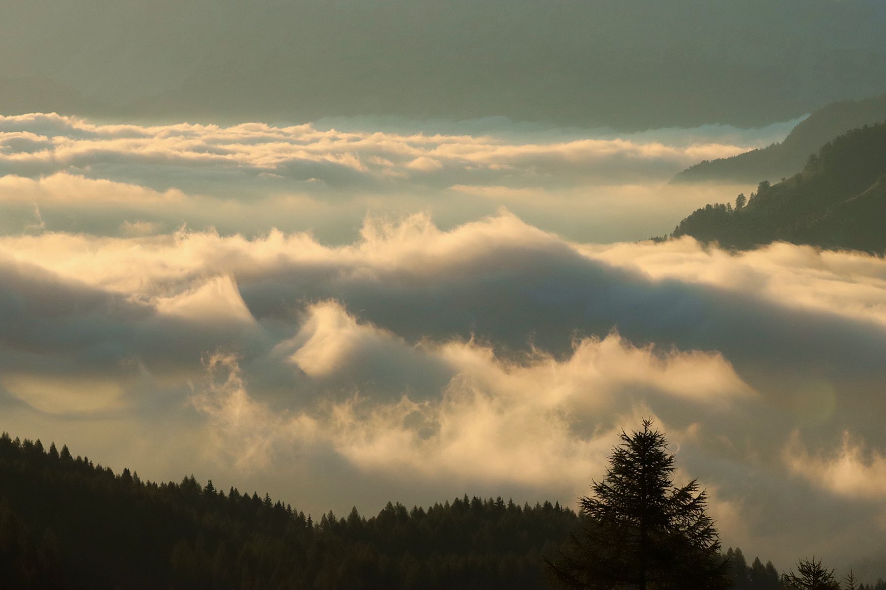 Der Zauber des Morgenlichts