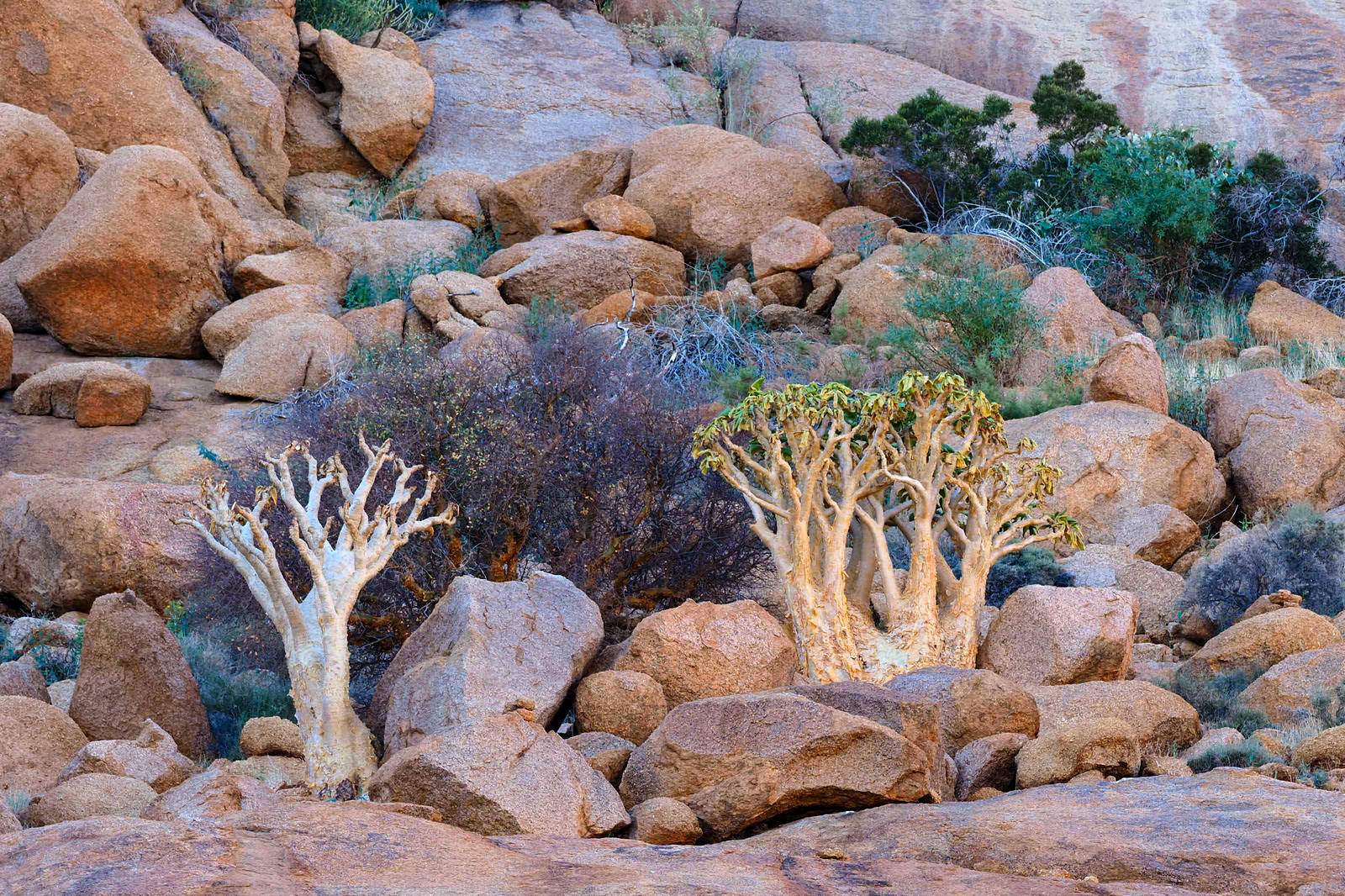 Am Fuß der Spitzkoppe