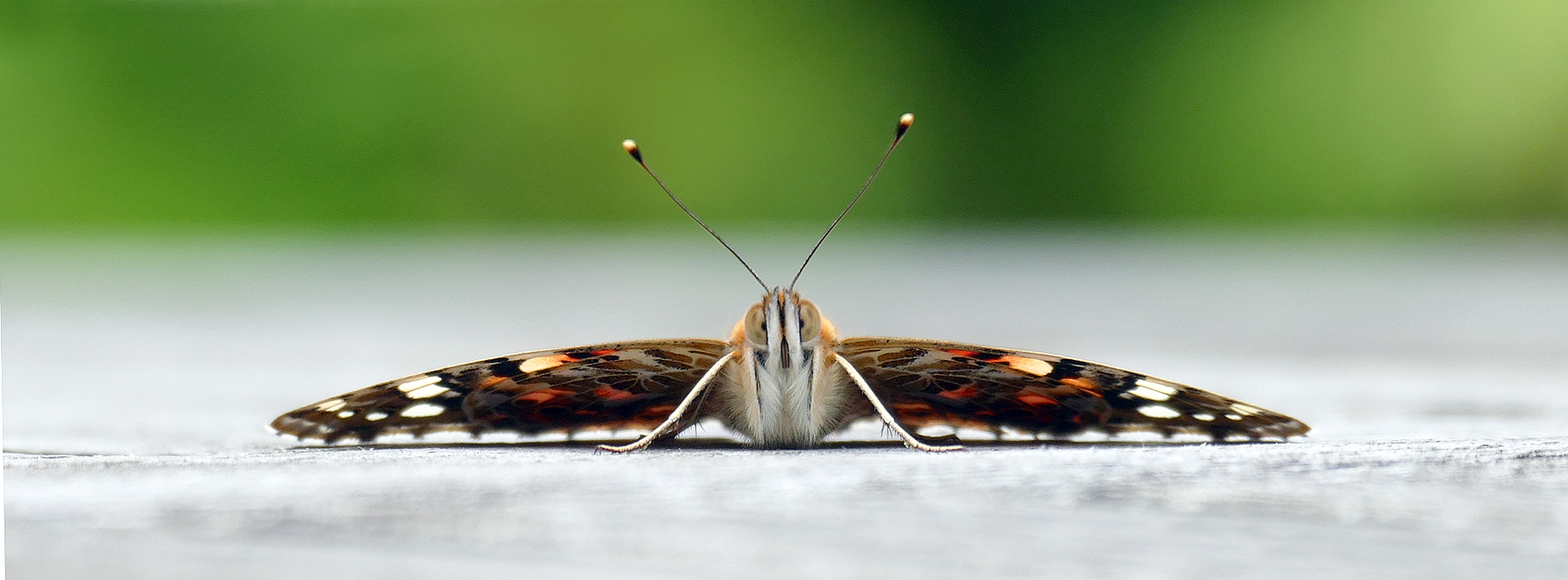 ... ready for take-off ...