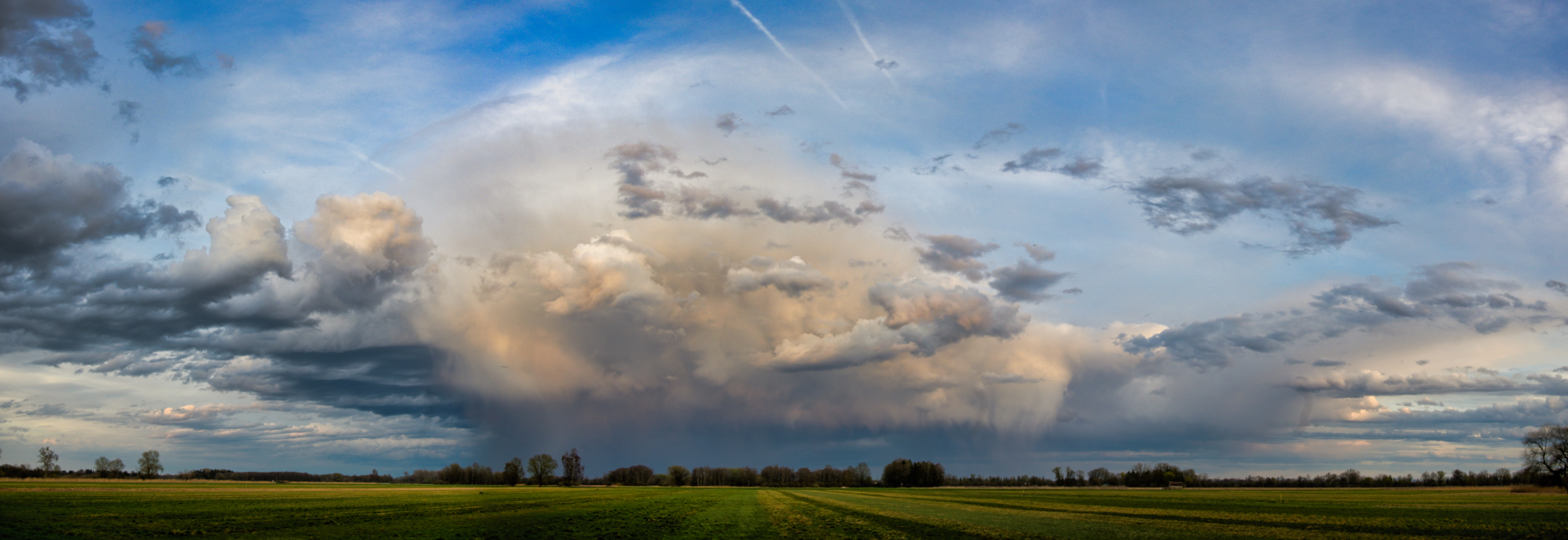 Abziehender Schauer überm Moos
