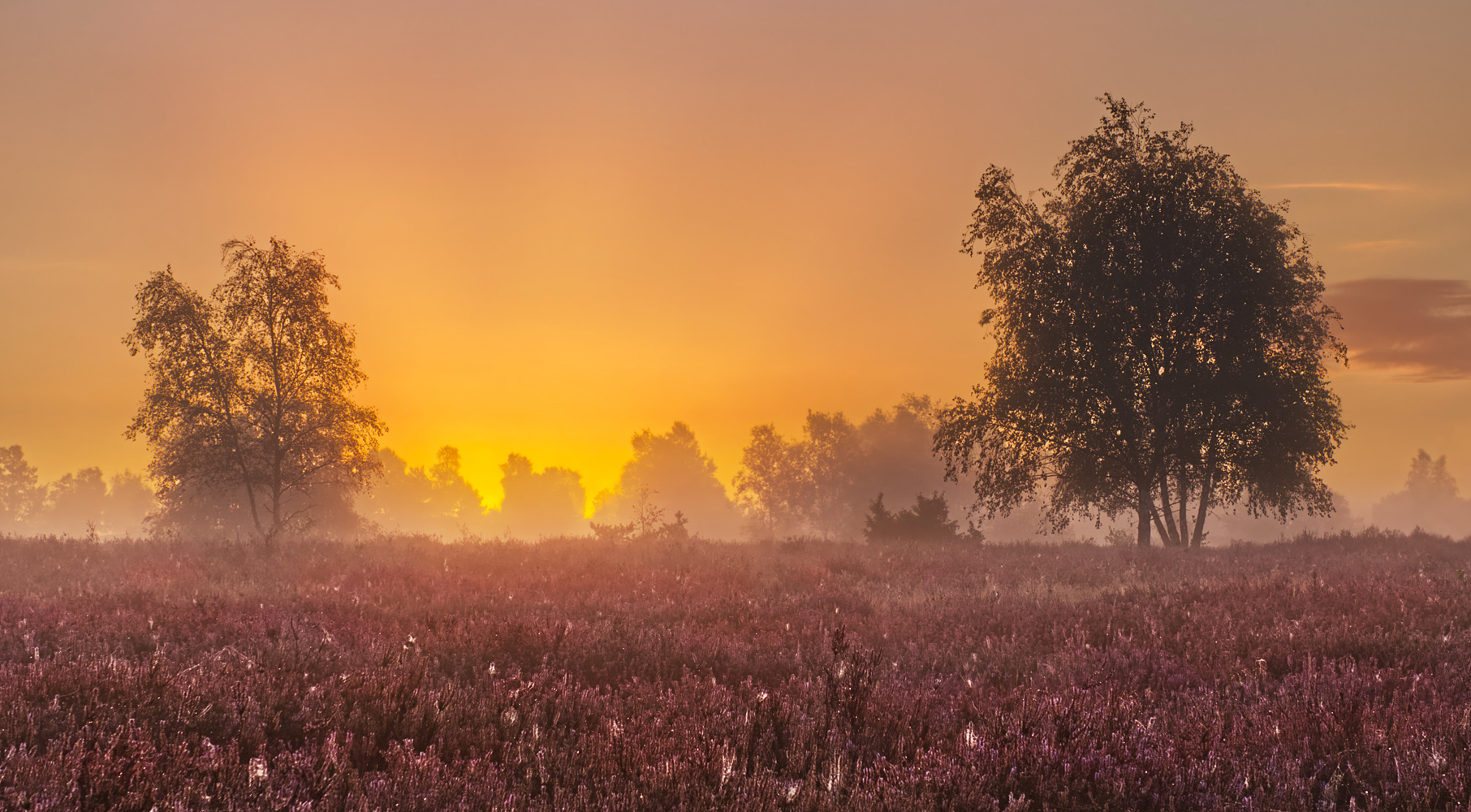Morgenrot