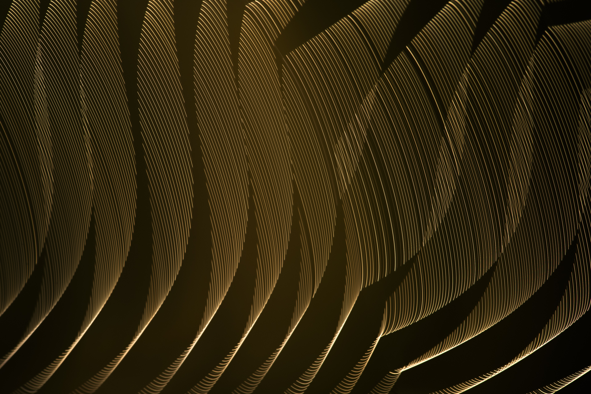 ______lines______