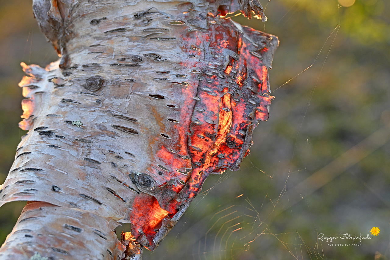 on fire