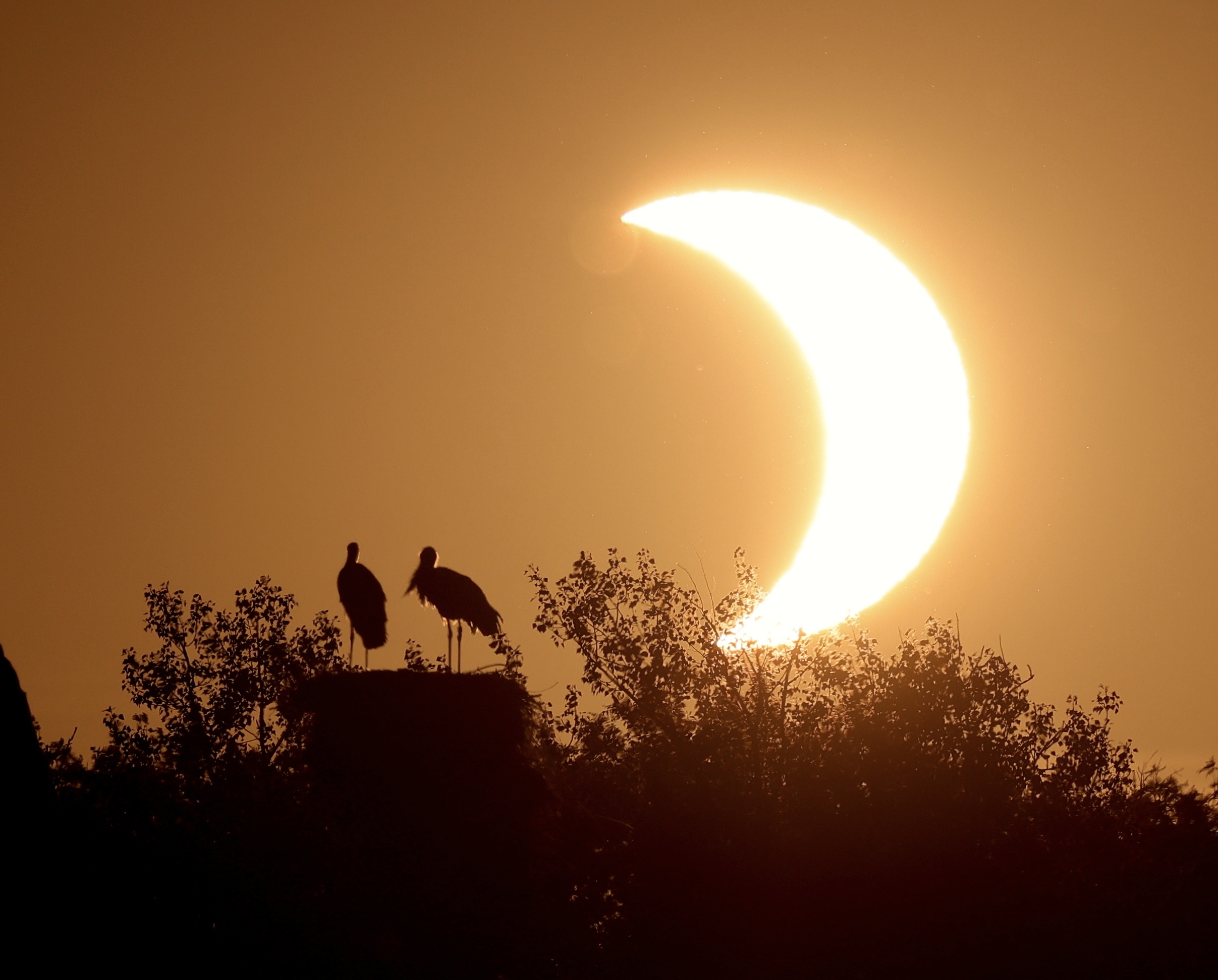 Sonnenfinsternis