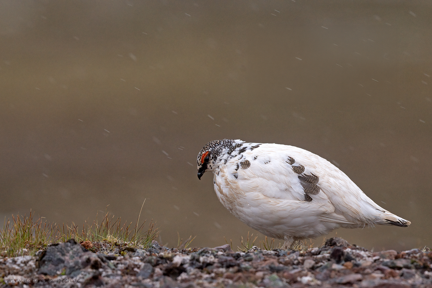Gegen Wind und Regen