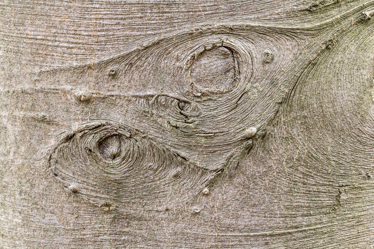 Suchbild