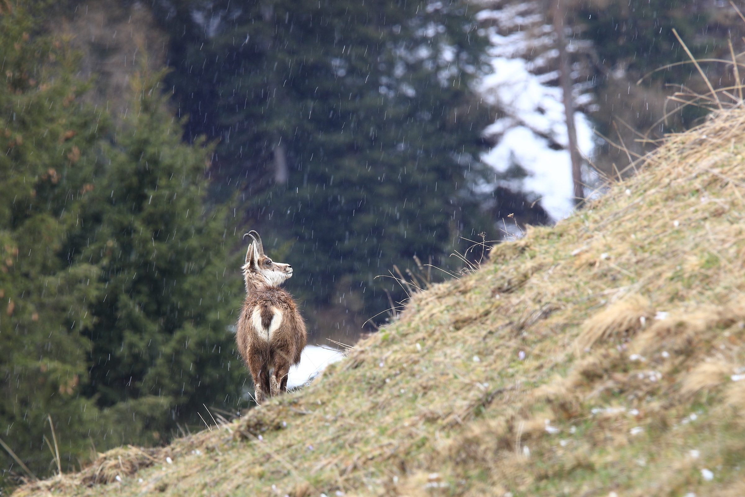 Aprilwetter