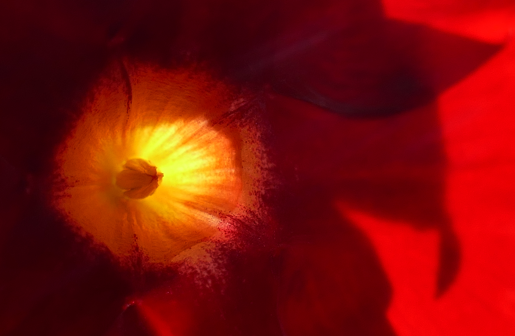 ... shining ...