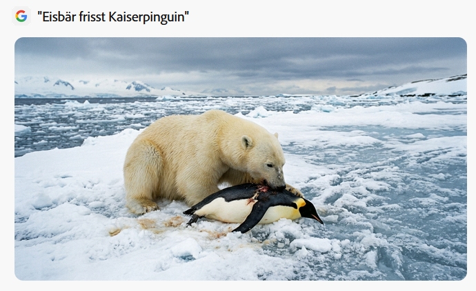 KI-Fake: Eisbär frisst Kaiserpinguin