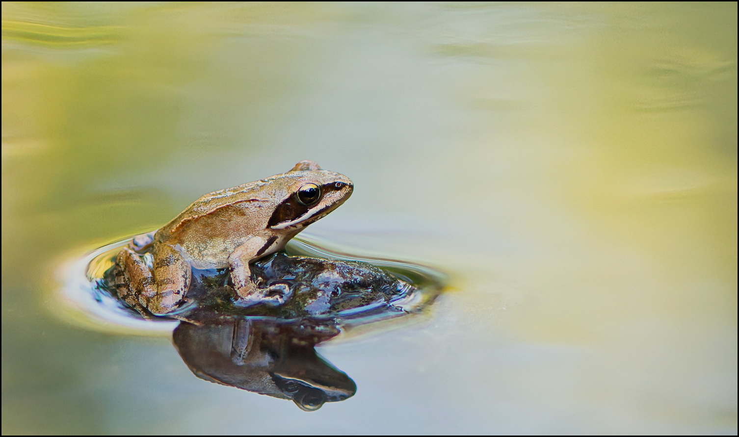 Kein Mückchen auf dem Wasser
