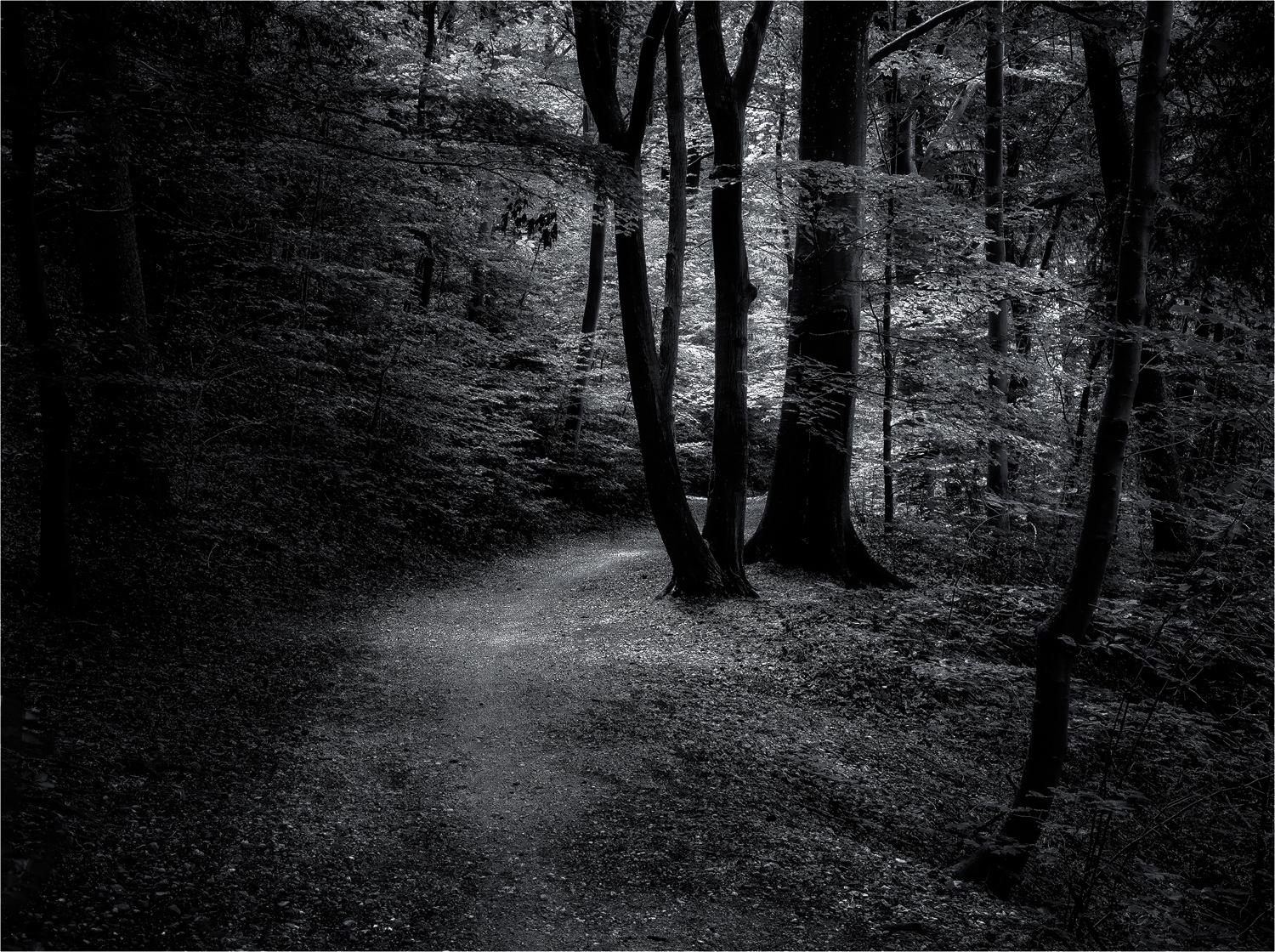 Lichteinfall ...