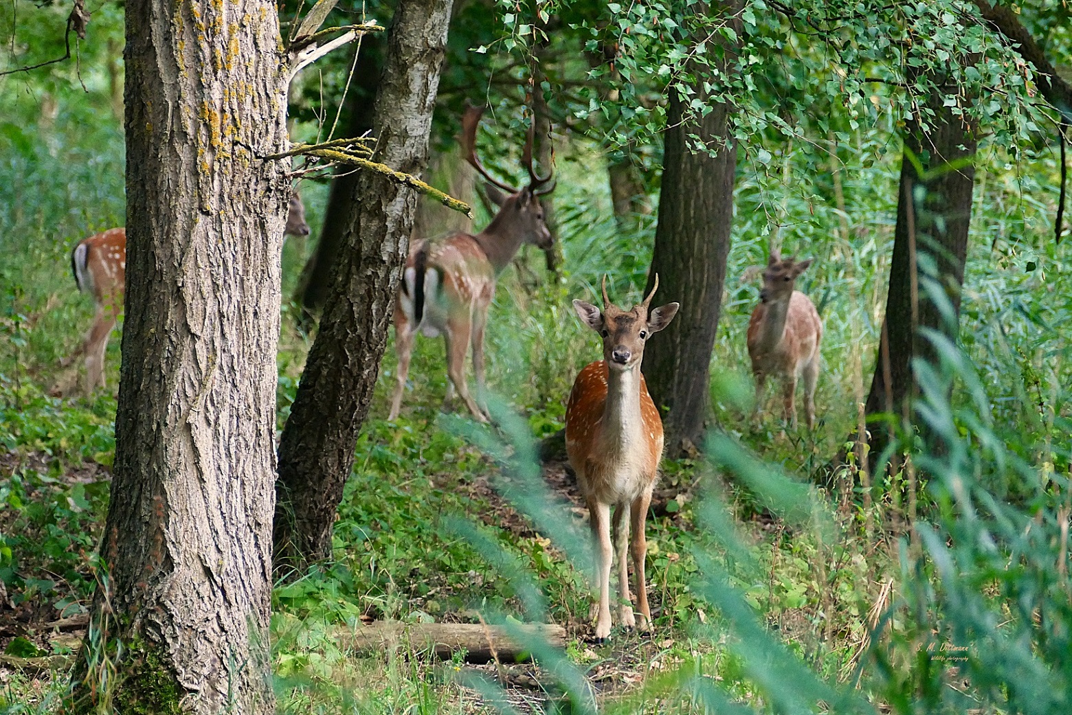 Jugendgruppe mit Betreuer