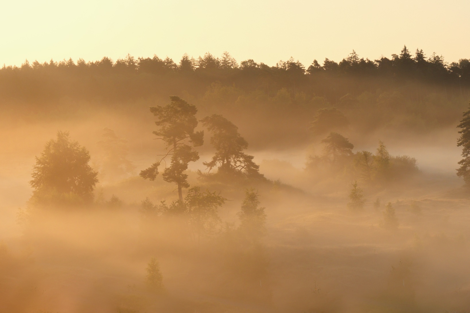 Anflug von Herbst