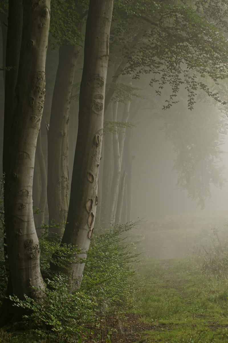 Naturpark Hohe Mark