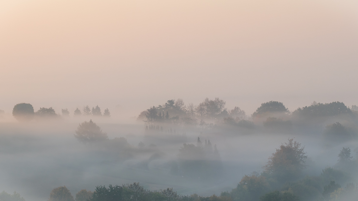 Wenn die Sonne den Nebel durchdringen will.....