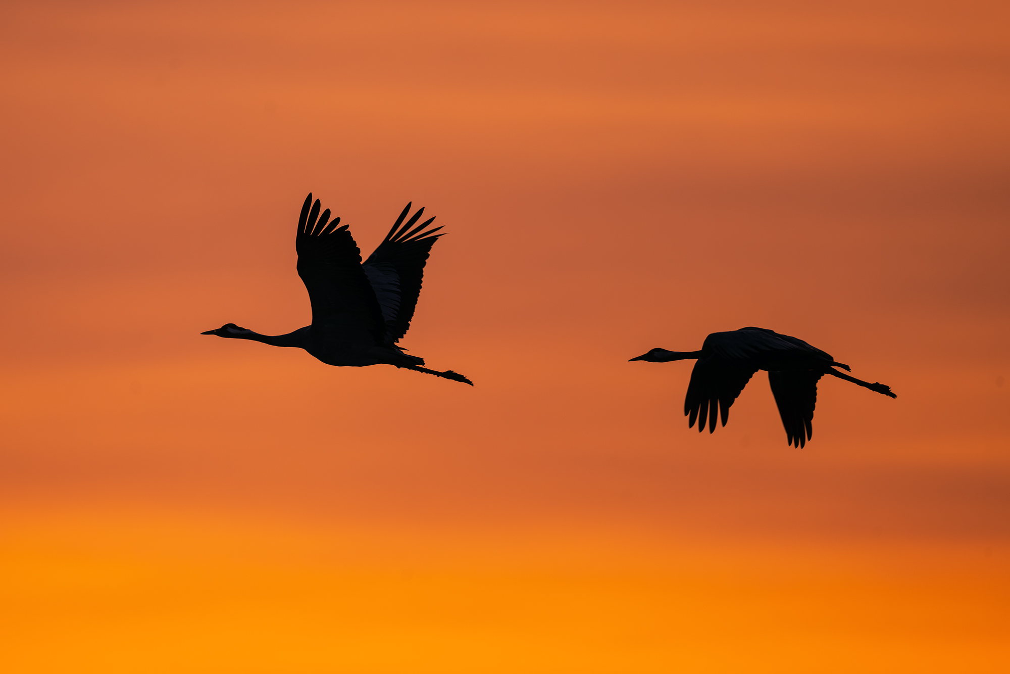 Abflug in einen neue Tag