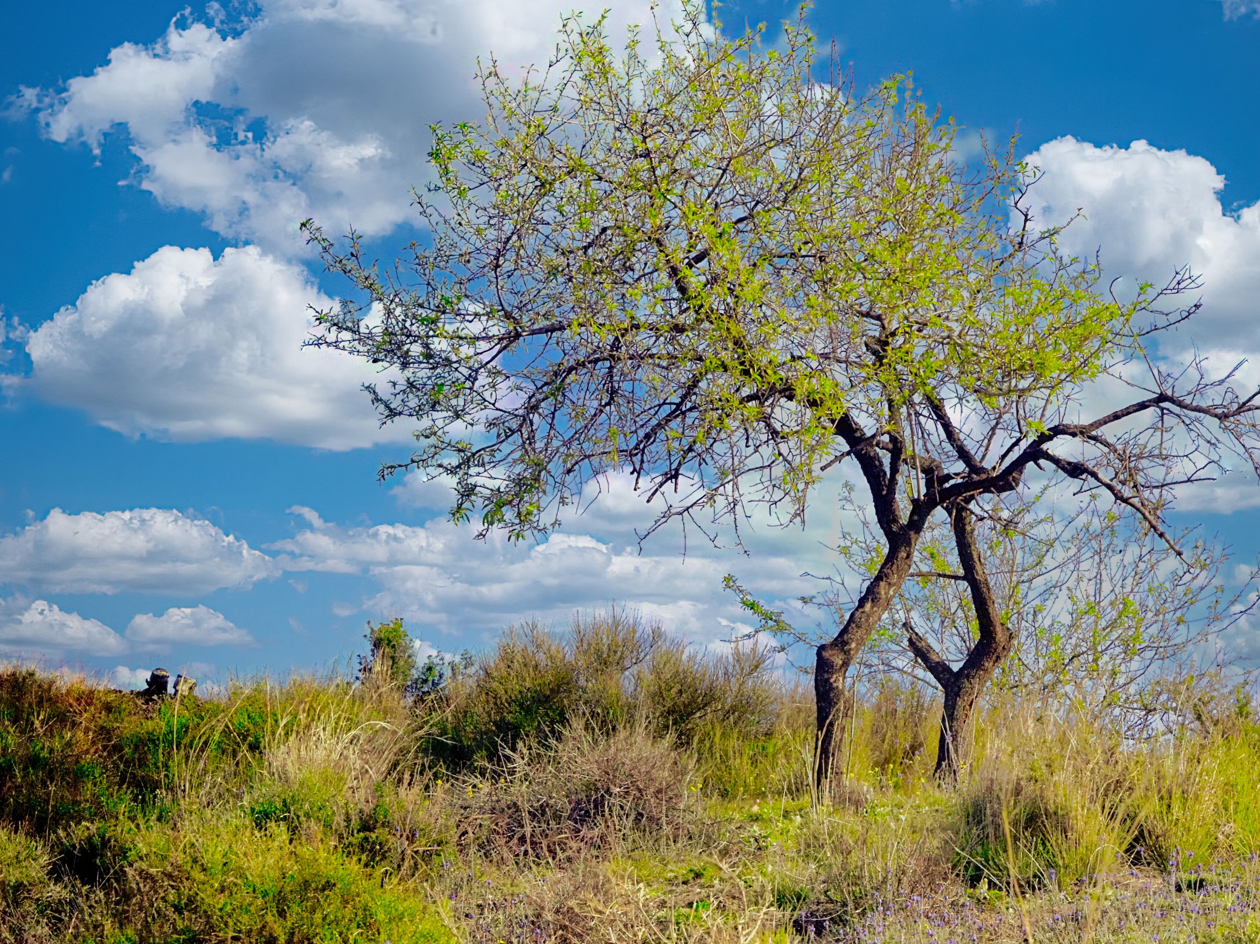 Landschaft auf  Gran Canaria