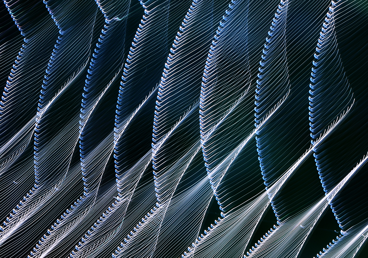 Natur-Design