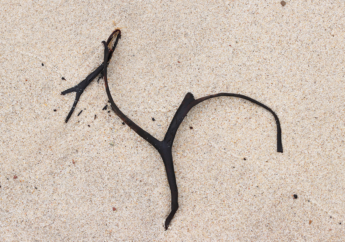 Strandkunst