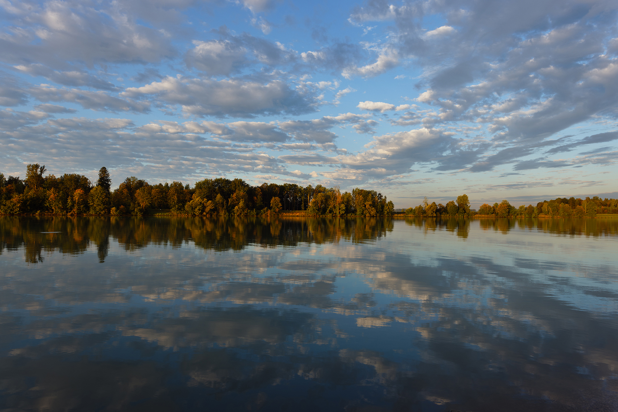 Morgenstimmung
