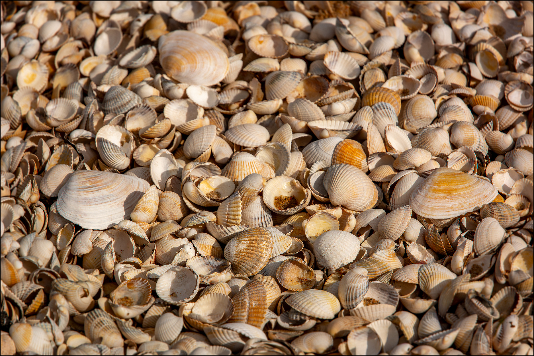 Der etwas andere Strandabschnitt