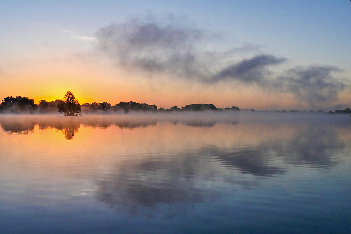 Verschiedener Nebel über dem See