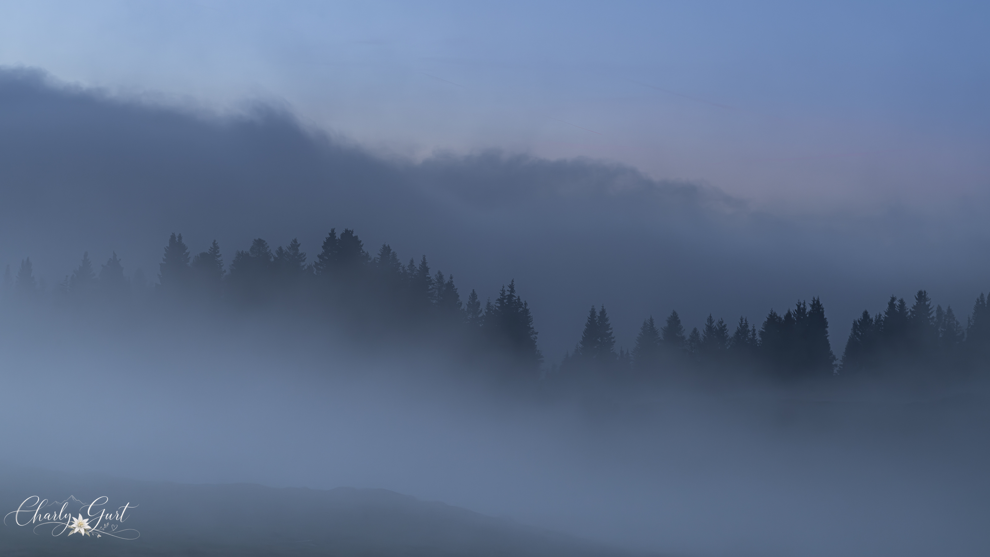 Alpine Nebelstimmung