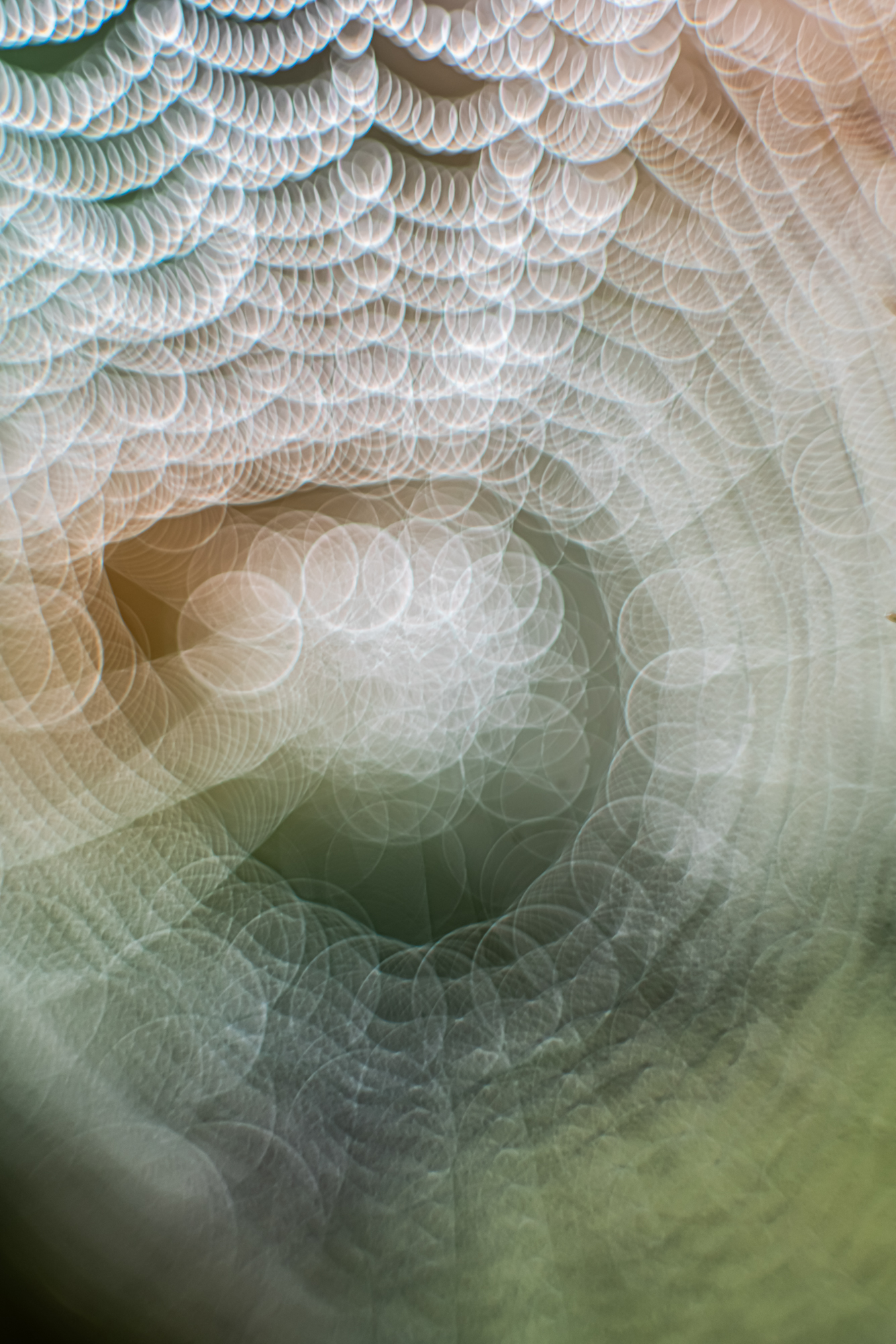 Spinnennetz mal anders (Altglas)