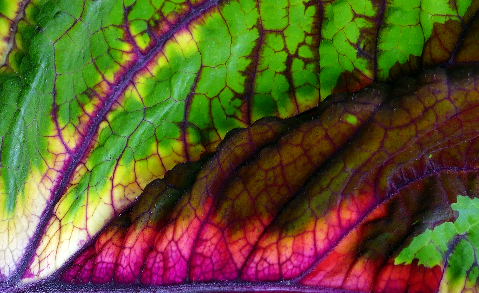 Farben und Formen