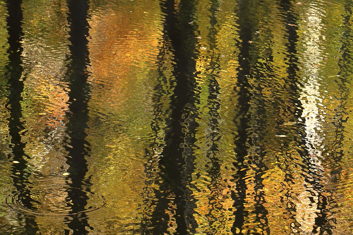 Herbst-Teich