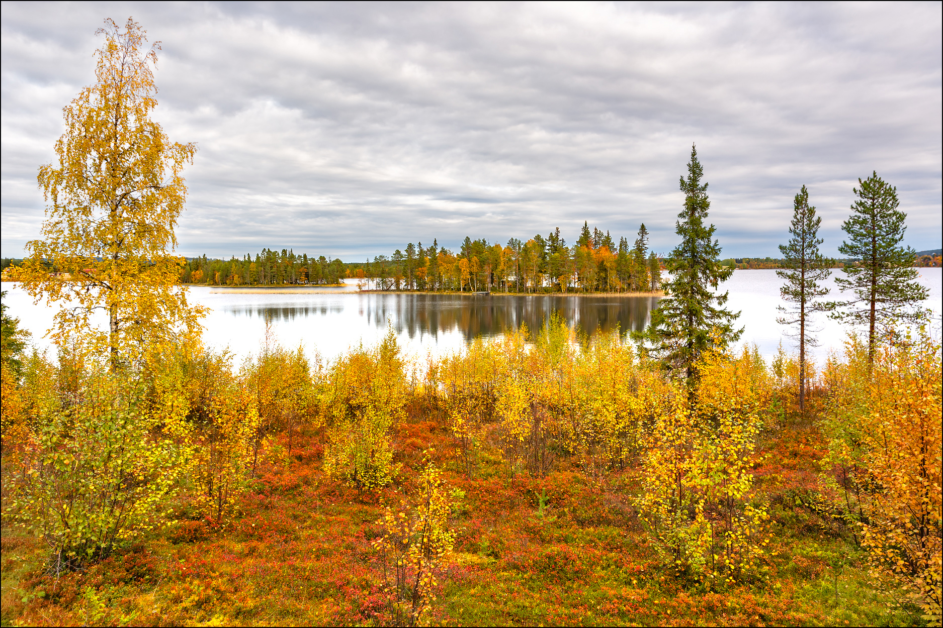 Herbst in Lappland
