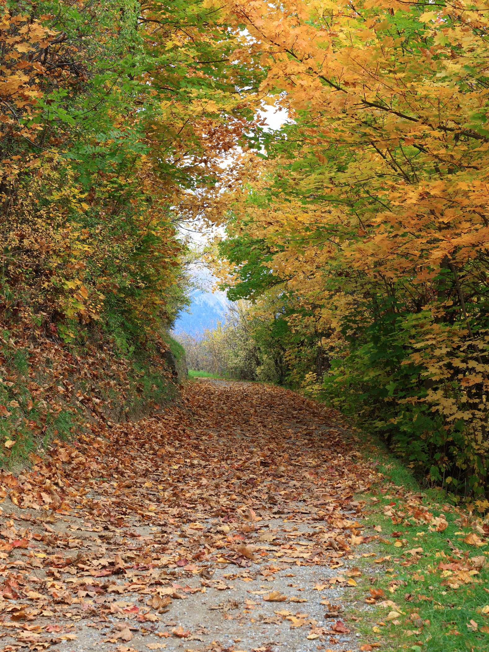 Herbstfarben