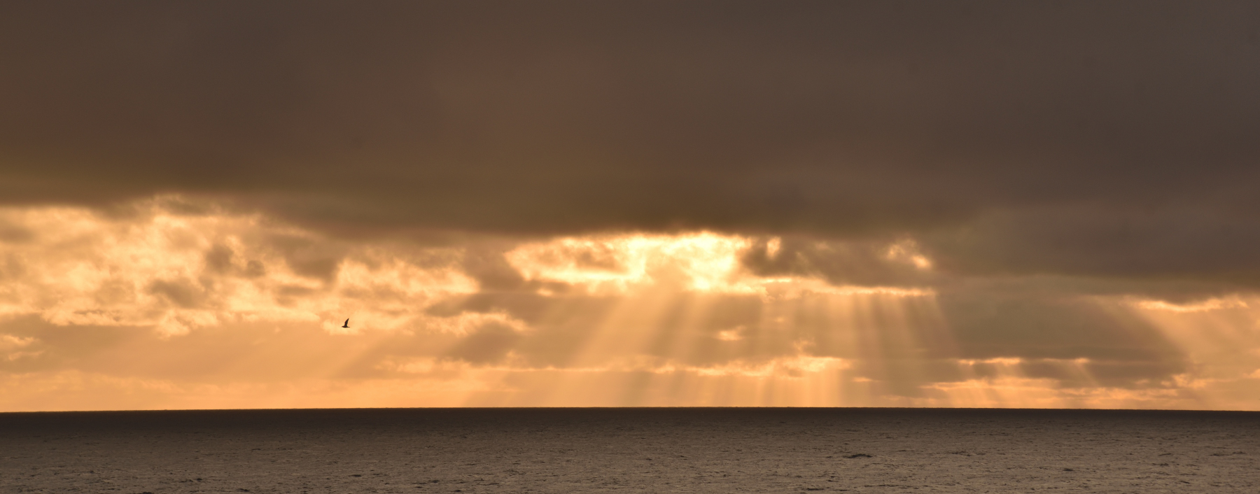 Wetter in der Davis Straße zwischen West-Grönland und Baffin Island