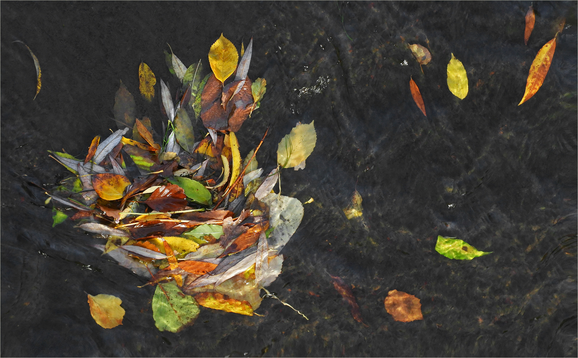 Im Herbststudel ...