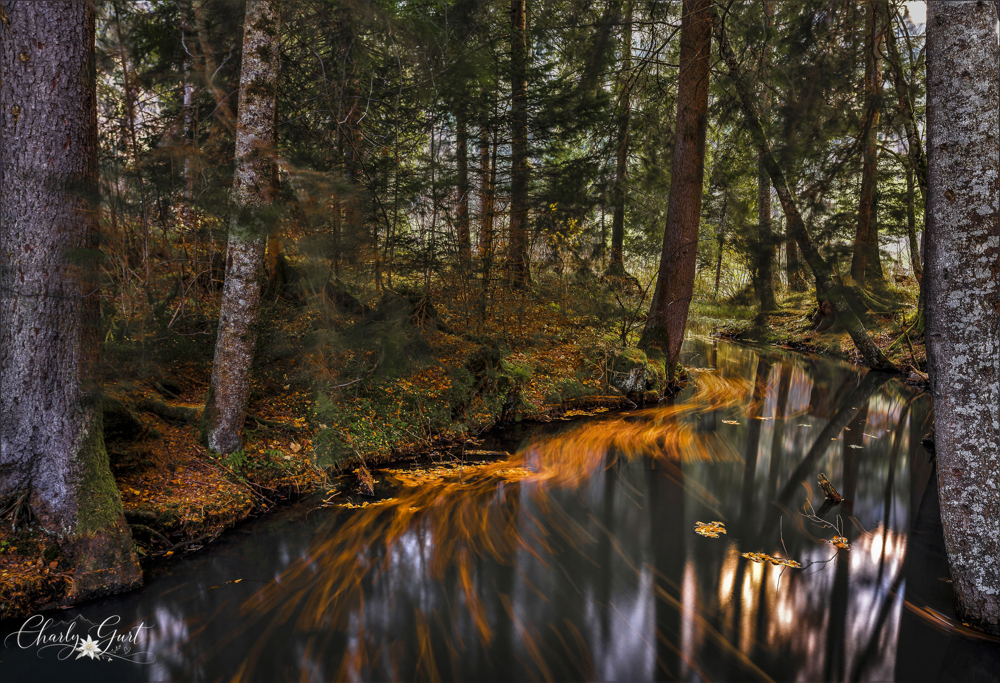 Wenn der Herbst durchs Wasser tanzt