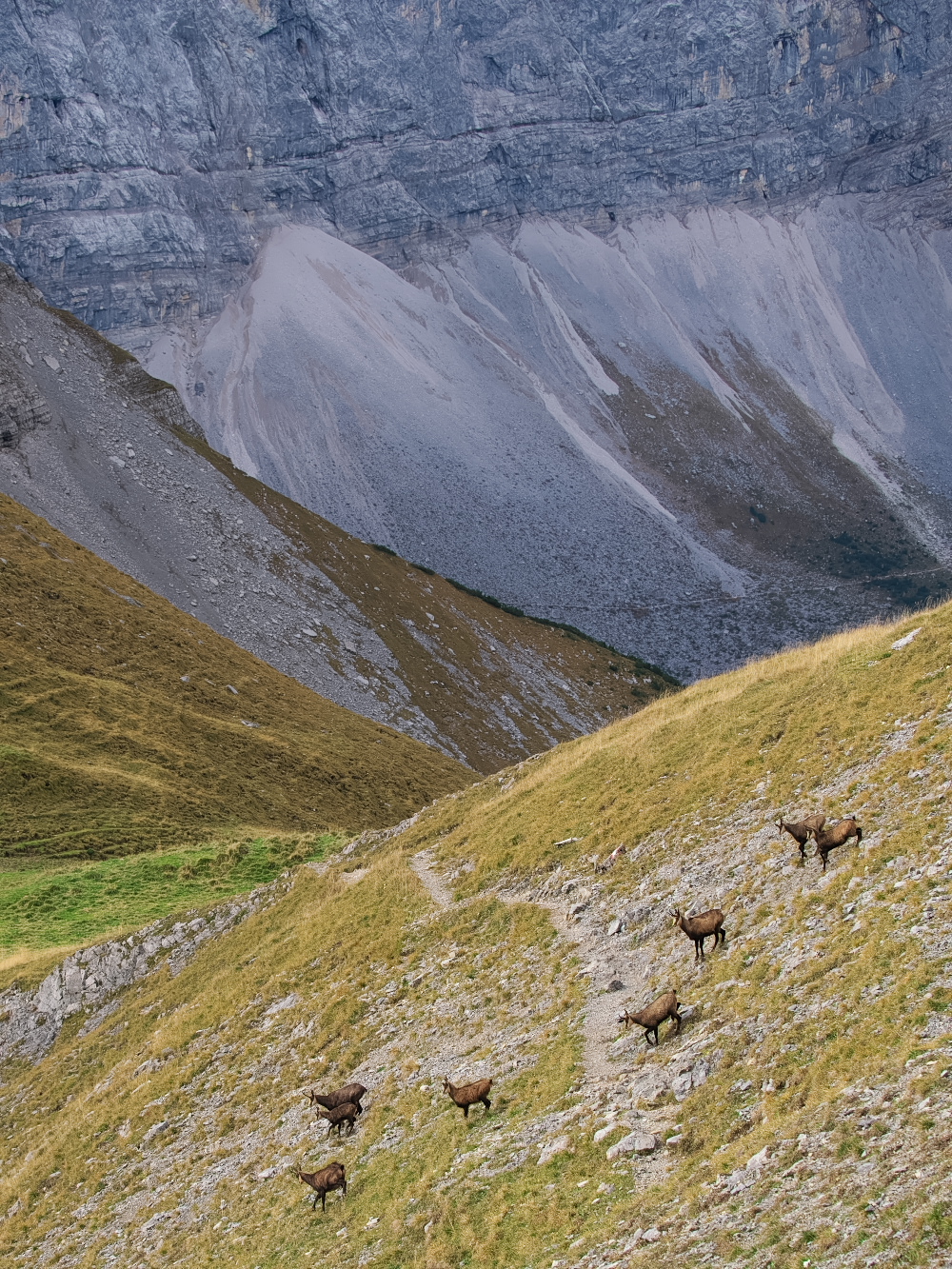 Herbst im Gebirge