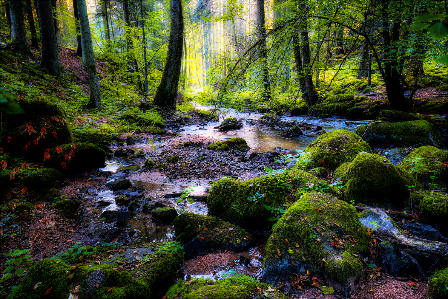 Herbstbeginn an einem Bach ...
