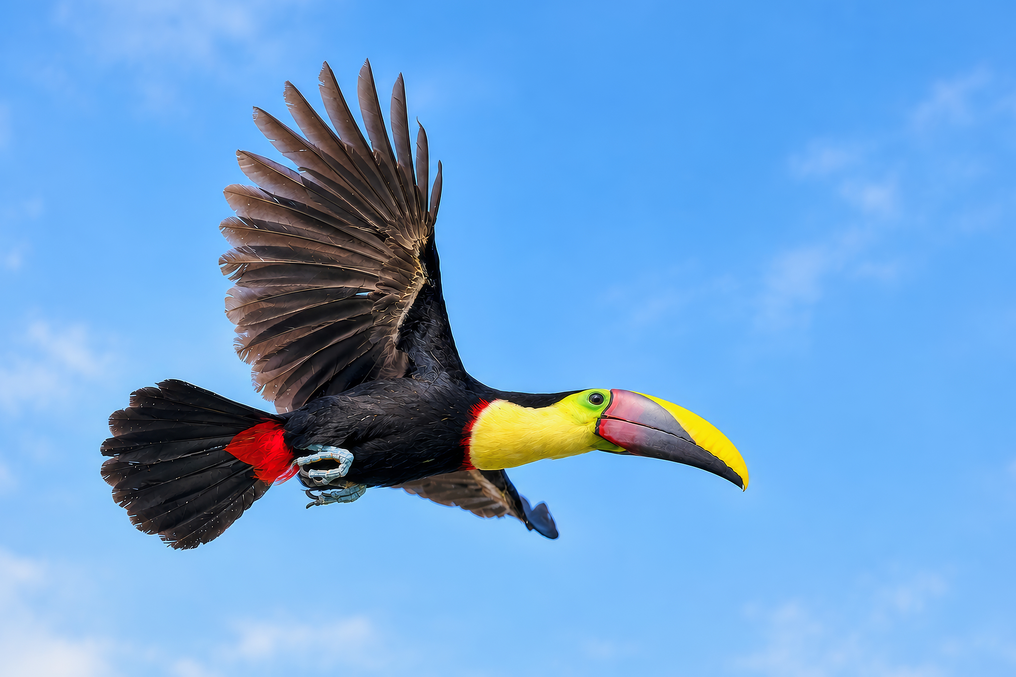 Tukan